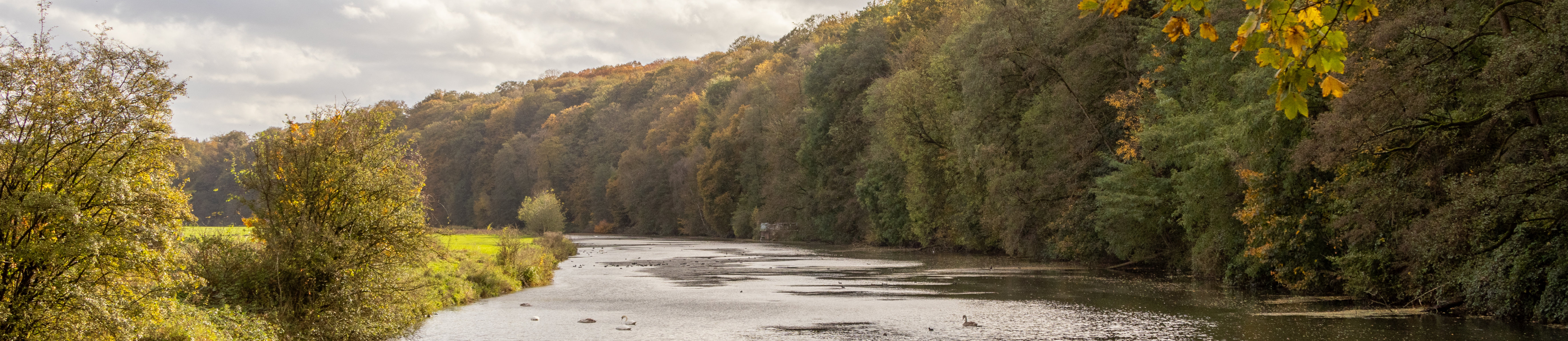 Header Landesgartenschau Galleien