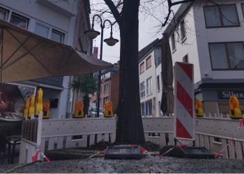 Die abgesperrte Baumscheibe der Linde am Elsabrunnen in der Klever Innenstadt.