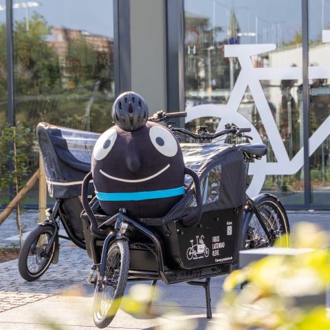 Edgar macht es sich vor der Radstation in einem Lastenrad bequem.